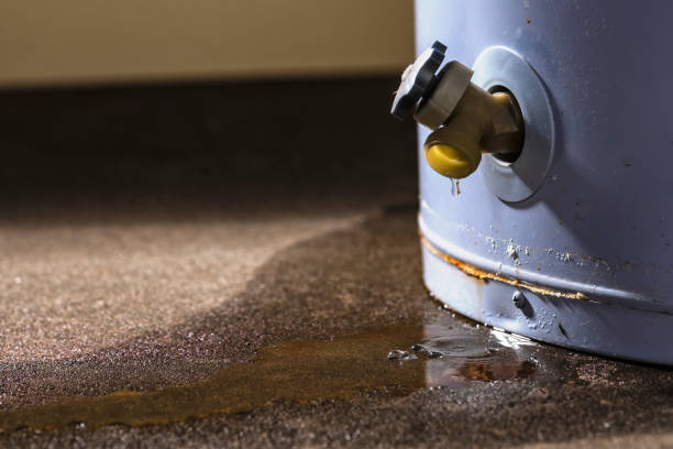 Best 24/7 water damage repair  in Kenedy, TX