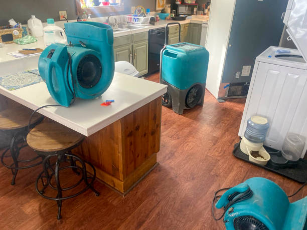 Best Water damage repair service  in Kenedy, TX
