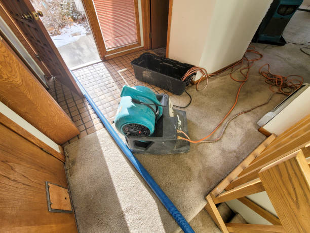 Best Flood damage cleanup  in Kenedy, TX