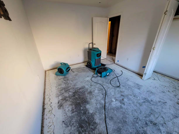 Best Sewage cleanup and water damage restoration  in Kenedy, TX