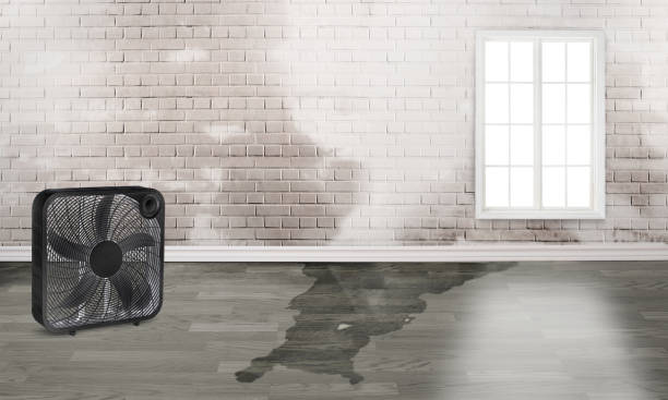  Kenedy, TX Water damage restoration Pros