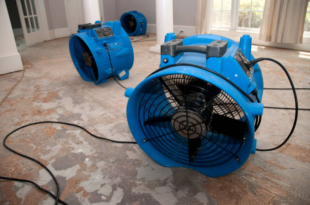 Best Local water damage restoration  in Kenedy, TX