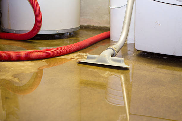 Best Water damage restoration company  in Kenedy, TX